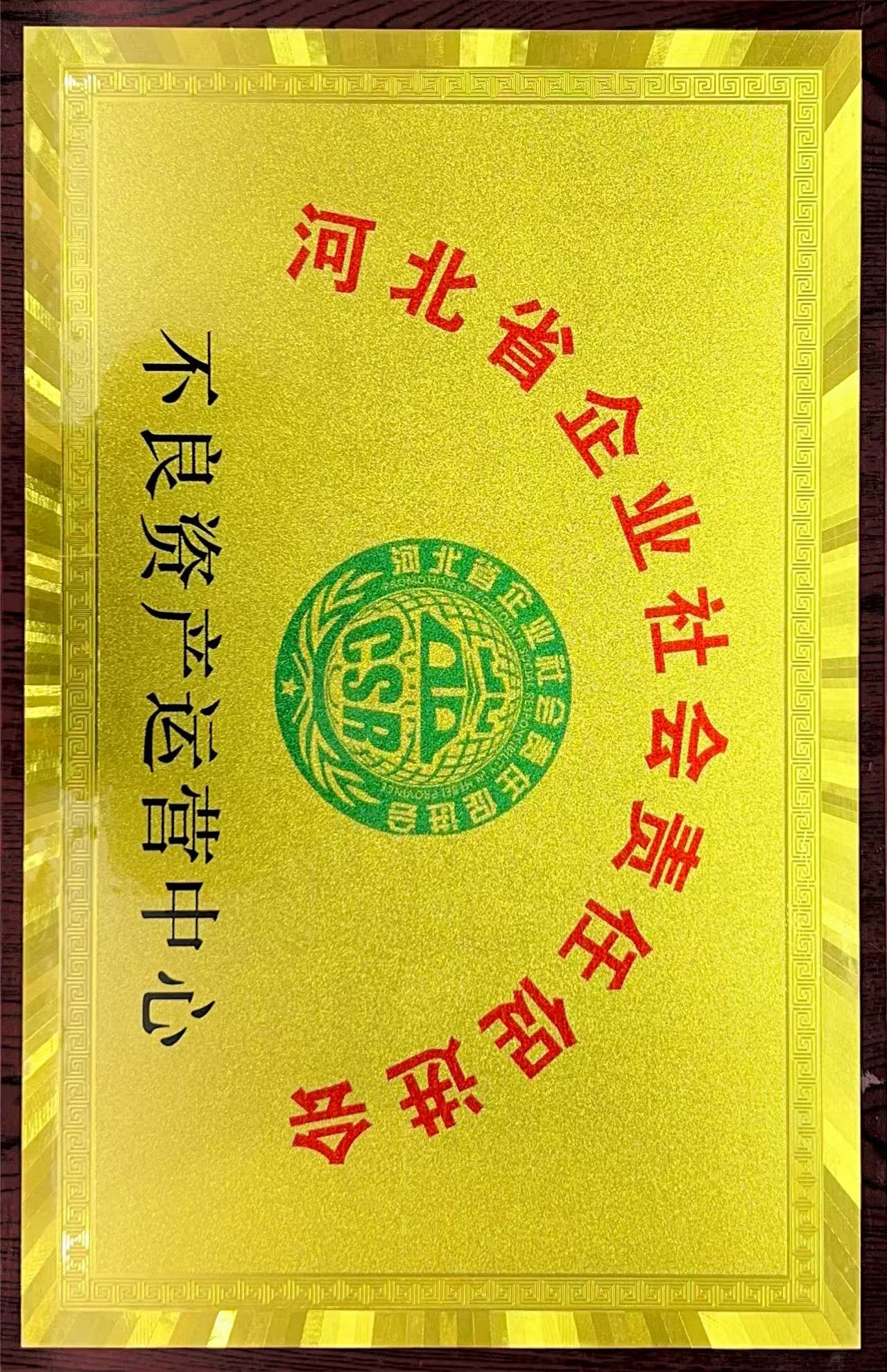 河(hé)北(běi)省企業(yè)社會(huì)責任促進會(huì)不(bù)良資産運營中心
